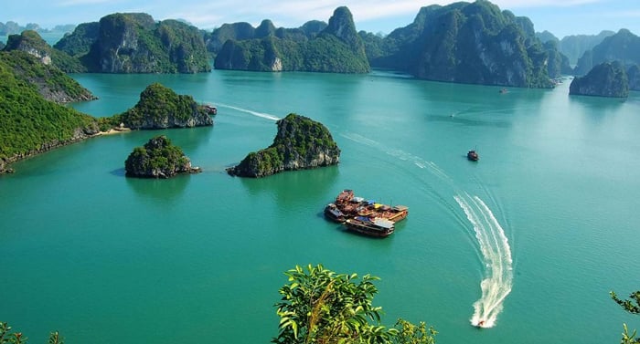 Bai Tu Long Bay : quelle croisière choisir entre 2 et 3 jours pour vivre la baie autrement