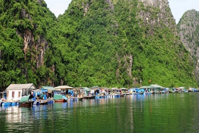 Visite du village de pêcheurs Vung Vieng en chaloupe.