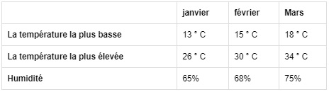 Février est généralement le moment où les Vietnamiens se préparent pour les vacances du nouvel an lunaire Tet. 