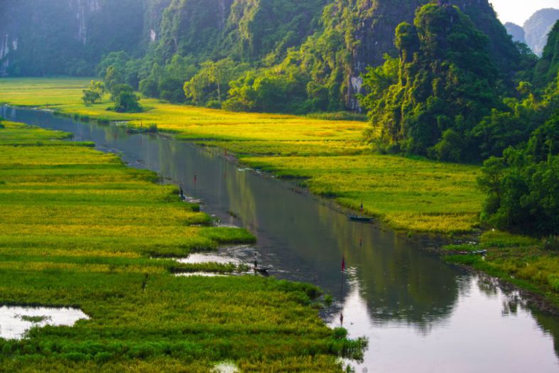 tam coc